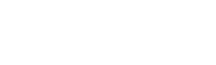 EESystems Logo Chicago Area