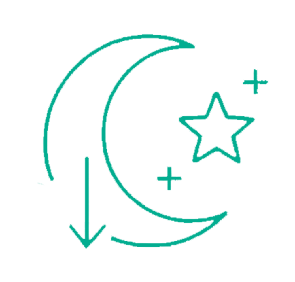 icons 0000s 0001 Layer 2