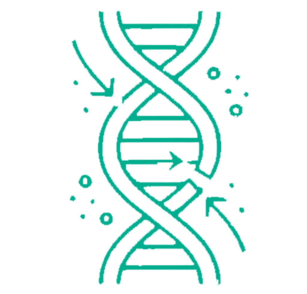 icons 0000s 0004 Layer 5