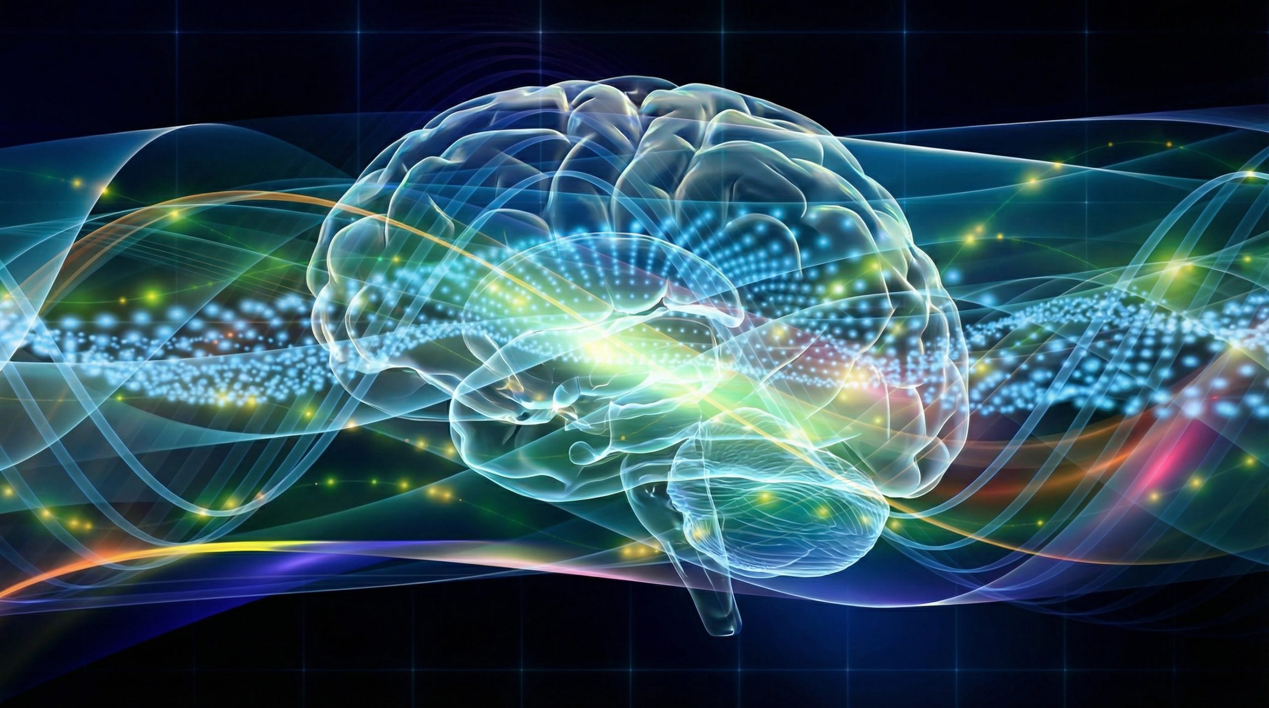 EE System ADHD benefits