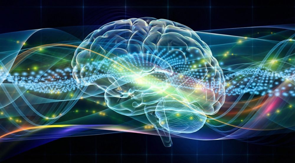 EE System ADHD benefits